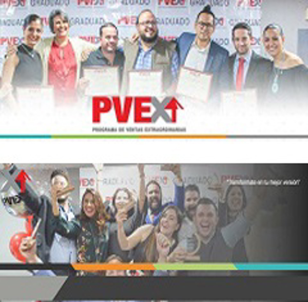 Franquicia PVEX Franquicia PVEX