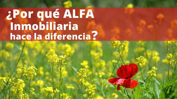 ¿Por qué la franquicia Alfa Inmobiliaria es la franquicia que hace la diferencia?