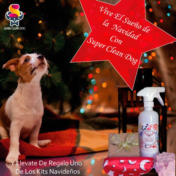 Vive el sueño de la Navidad con la franquicia Super Clean Dog