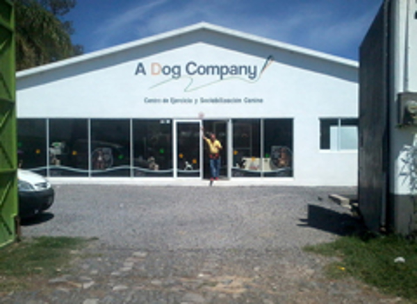 Franquicia A Dog Company