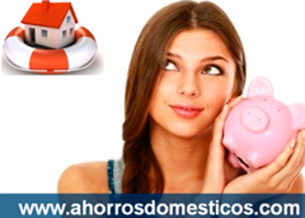 Franquicia Ahorros Domésticos