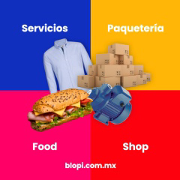 Franquicia Blopi Franquicia Blopi