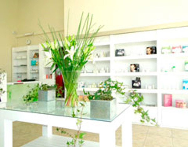 Franquicia Boutique Divina Franquicia Boutique Divina