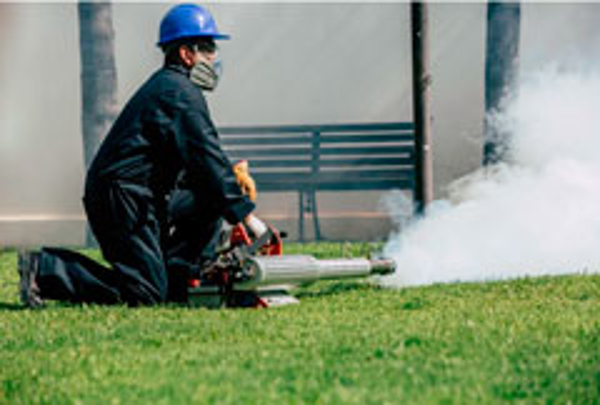 Franquicia FumiPlus Franquicia FumiPlus