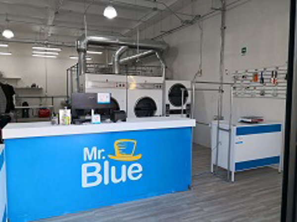 Franquicia Mr. Blue Franquicia Mr. Blue