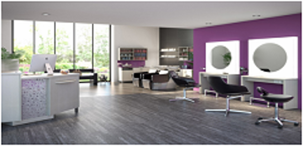 Franquicia Unlimited Style Peluquerías Franquicia Unlimited Style Peluquerías