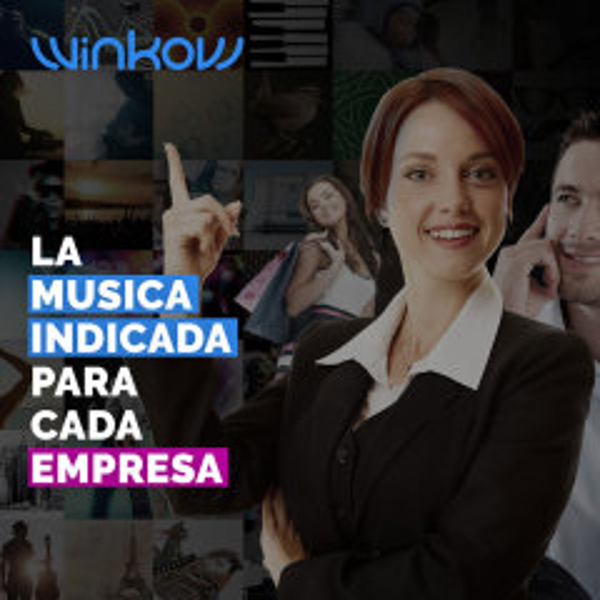 Franquicia WinKow Franquicia WinKow