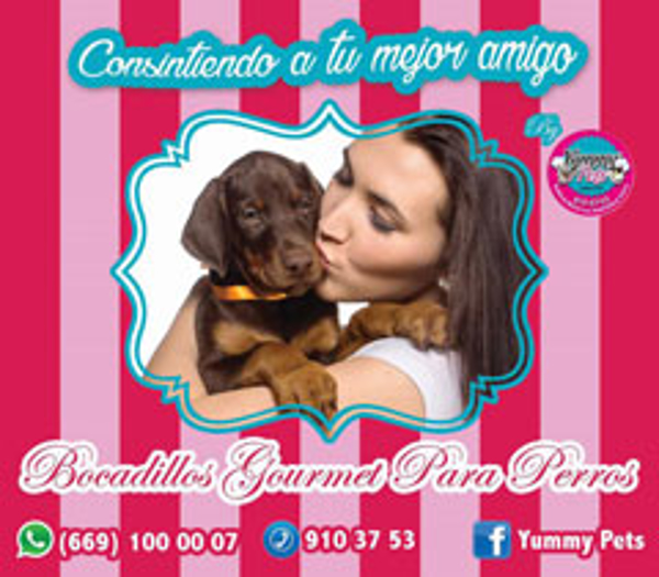 Franquicia Yummy Pets Franquicia Yummy Pets