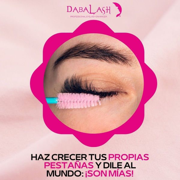Franquicia Dabalash Franquicia Dabalash