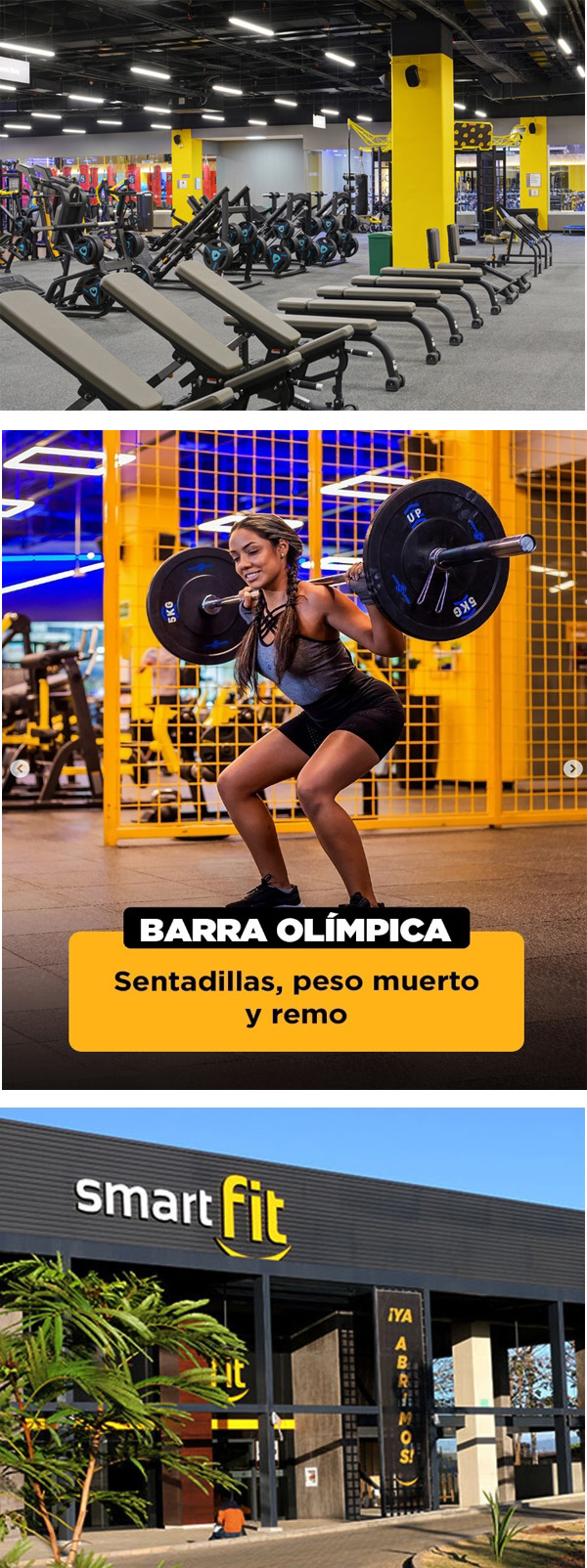 Franquicia Smart Fit Franquicia Smart Fit