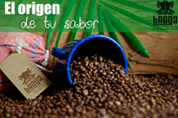 Franquicia Broga Barra de Café Franquicia Broga Barra de Café