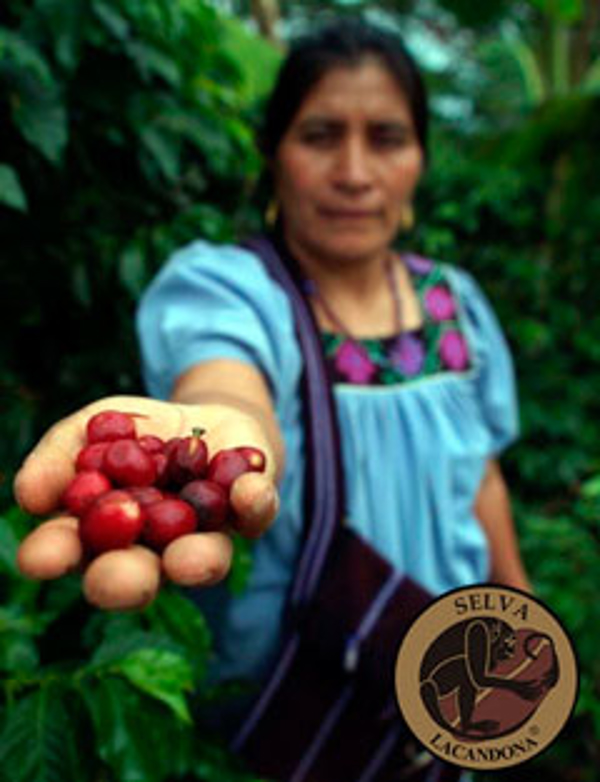 Franquicia Café La Selva Franquicia Café La Selva