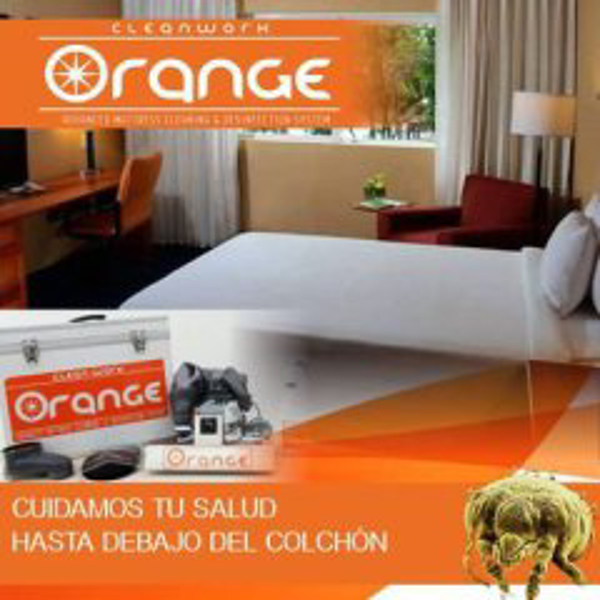Franquicia CleanWork Orange