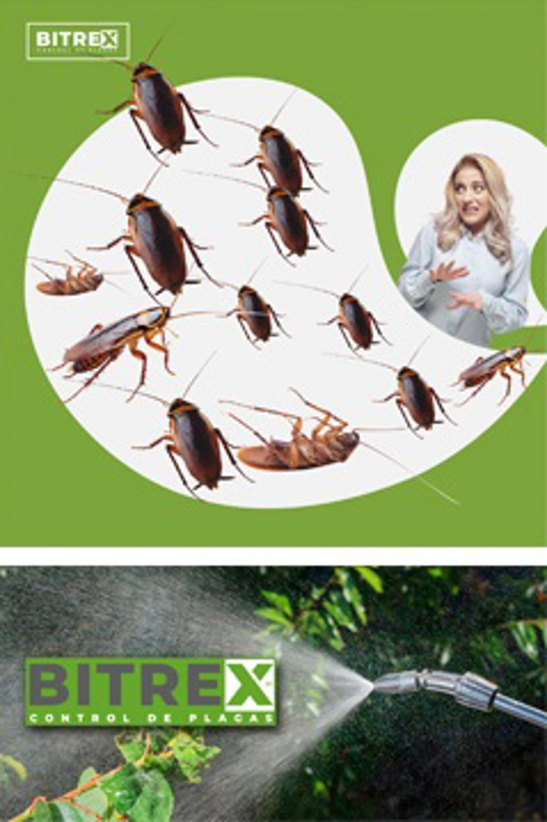 Franquicia Grupo Bitrex Franquicia Grupo Bitrex