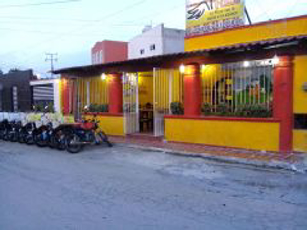Franquicia Pato Pizza Franquicia Pato Pizza