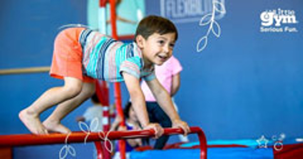 Franquicia The Little Gym Franquicia The Little Gym