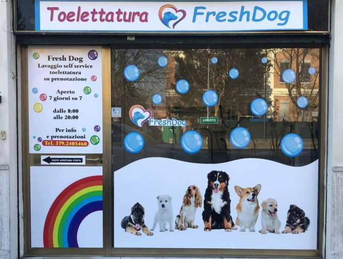 Franquicia Freshdog