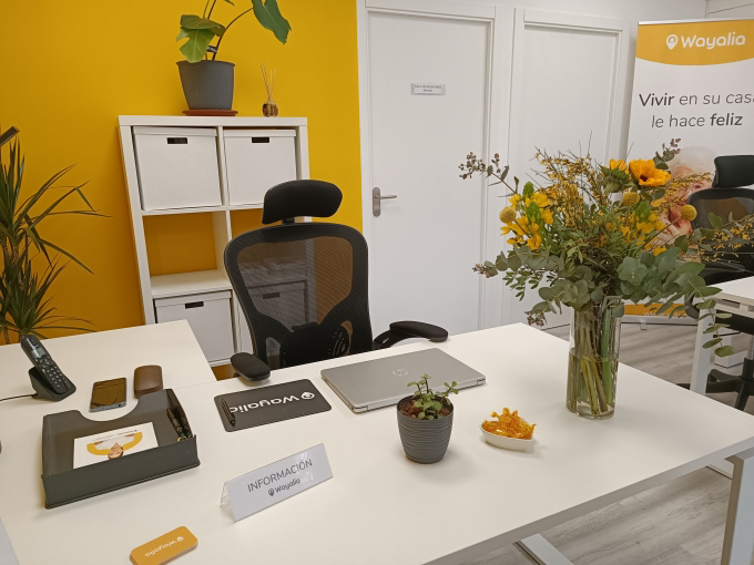 Franquicia Wayalia