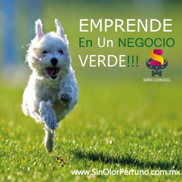 Super Clean Dog estará presente durante el mes de Diciembre en varios bazares con la campaña navideña