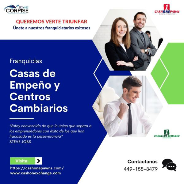 LOS DOS  NEGOCIOS MÁS INNOVADORES