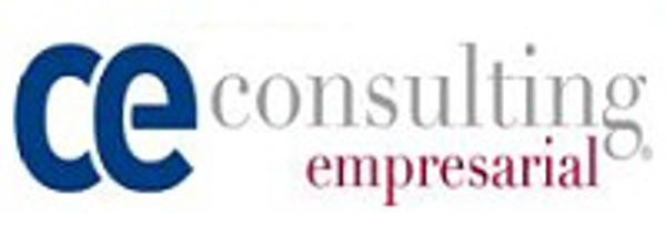 C.E. Consulting Empresarial