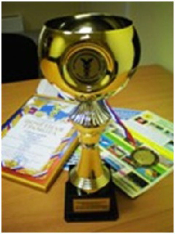 Masterfibra Jampion– Ganador del concurso “Mejor Empresario del año 2011”