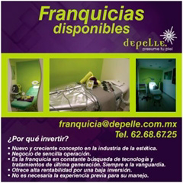 Como alcanzar el éxito gestionando una franquicia Depelle