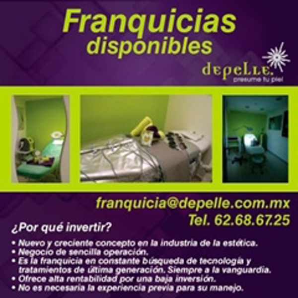 La importancia de los manuales de las franquicias Depelle
