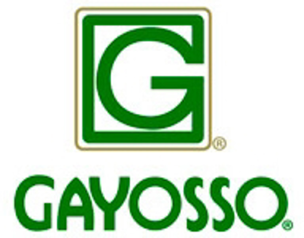 Gayosso