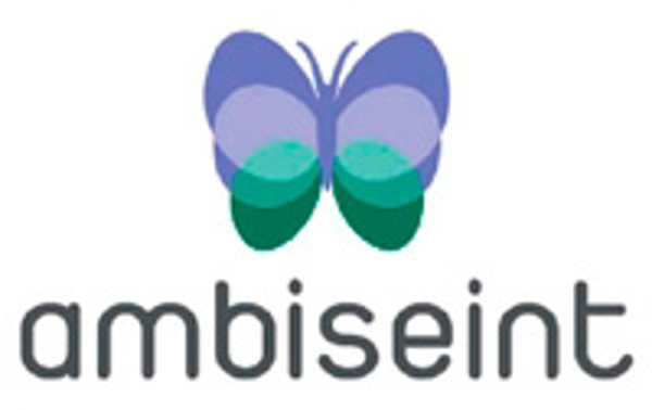 Ambiseint