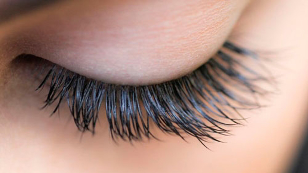 Be a Lash Girl! Una franquicia que consiente al cliente