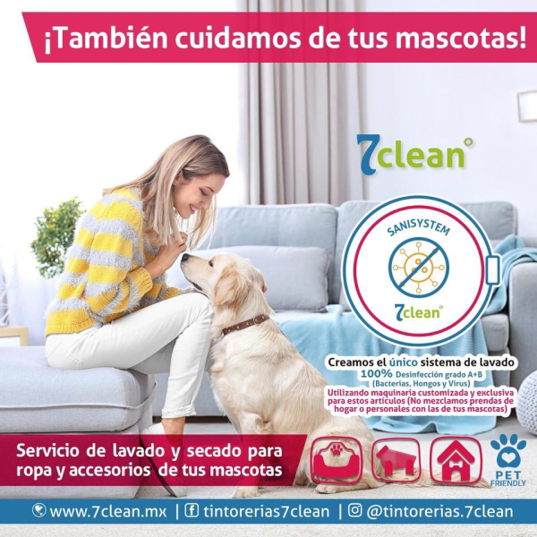 En las franquicias 7clean también cuidamos de tus mascotas.