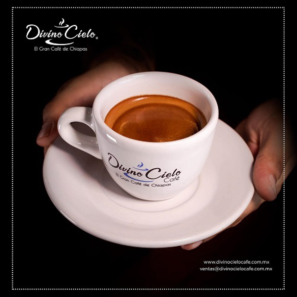 ¿Ya conoces las franquicias Divino Cielo Café?